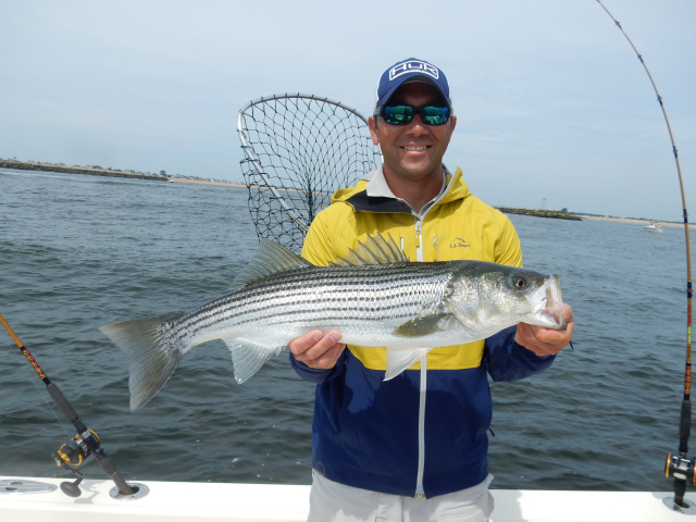 Doug's Merrimack River striper.